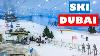 Ski Dubai Visite Complète De Ski Dubai Destination Touristique À Dubai